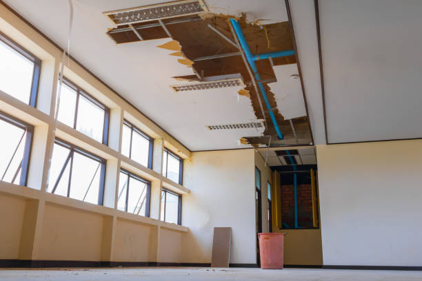 Best Sewage cleanup and water damage restoration  in Renville, MN