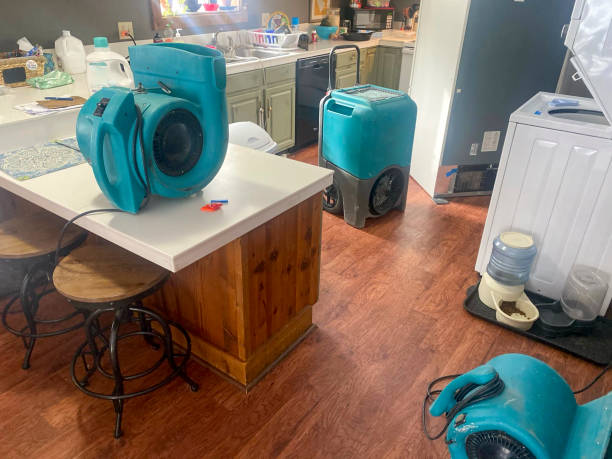 Best Water damage contractors near me  in Renville, MN