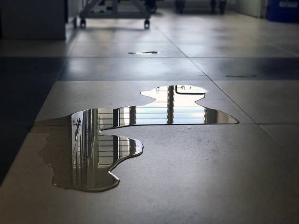 Best 24/7 water damage repair  in Renville, MN