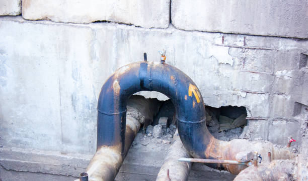 Best Emergency water damage restoration  in Renville, MN